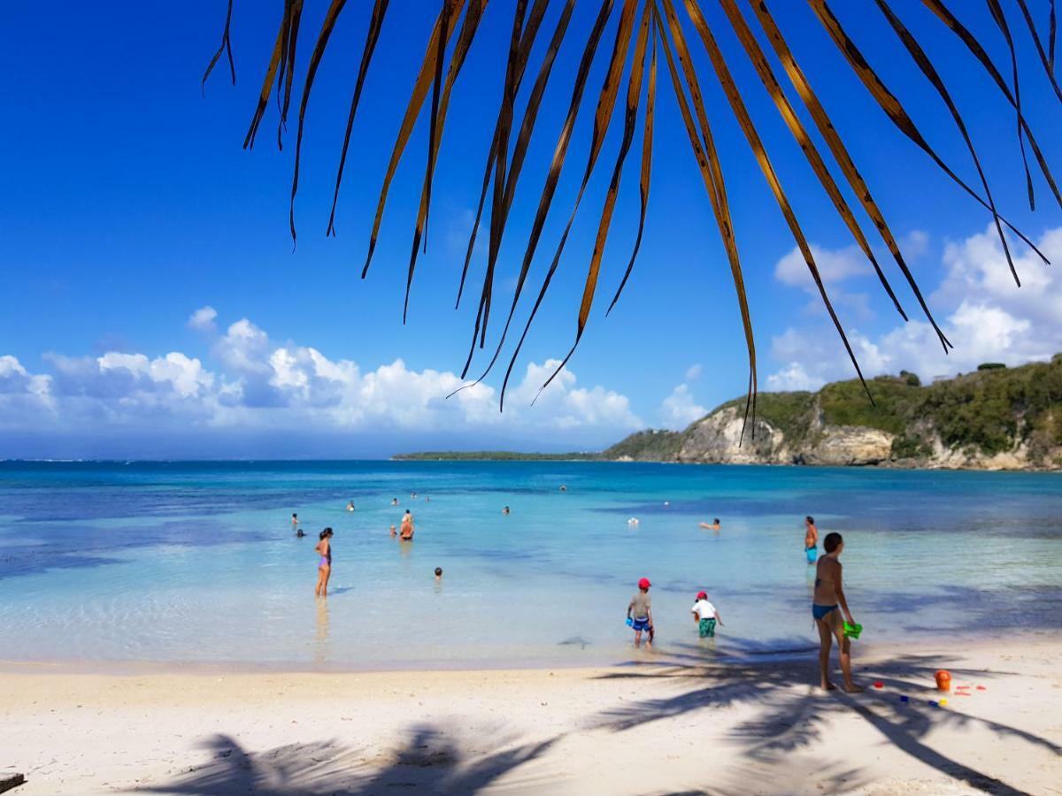 Blue Paradise Le Gosier  Zewnętrze zdjęcie