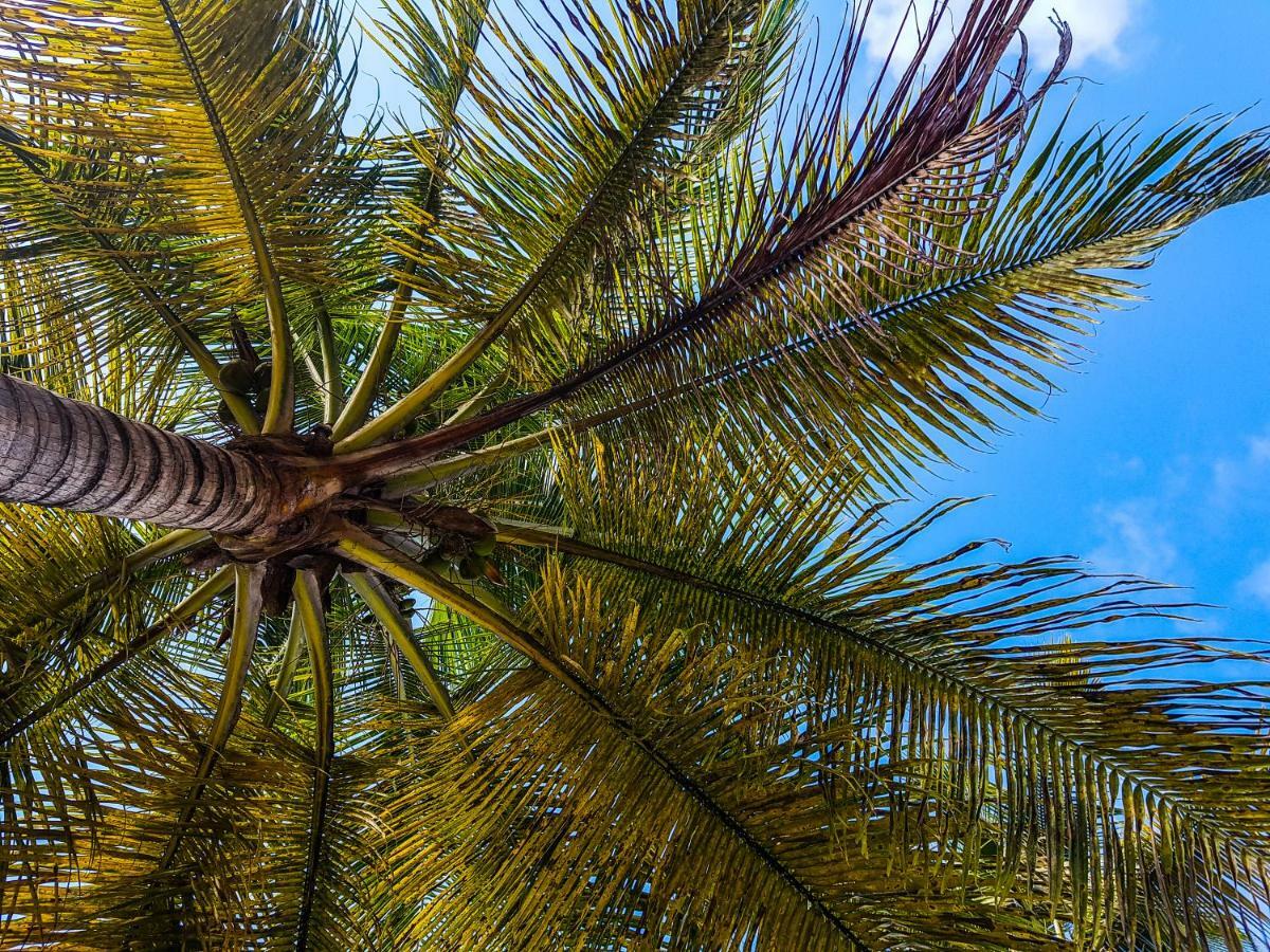 Blue Paradise Le Gosier  Zewnętrze zdjęcie